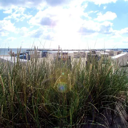 Detached Holiday Home, Decorated With Wood, On The Ostsee * Damp